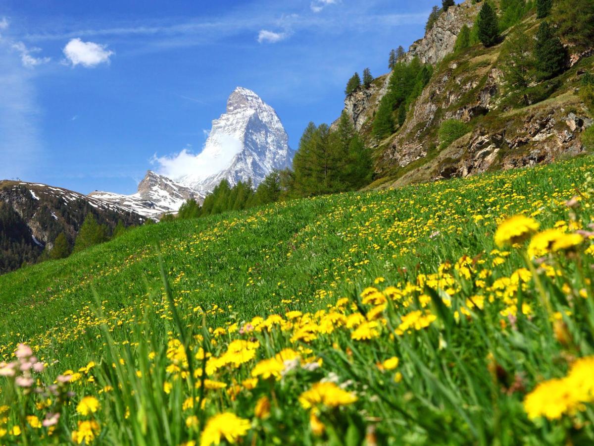 Apartment Imperial-10 By Interhome Zermatt Esterno foto